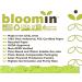 Earth Shapes Seed Paper Packs - Blue Green - 25 Shapes - Bloomin - Buy Online on GoSupps.com