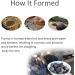 xuyue 2X Lava Pumice Stone for Foot Scrubber Foot Pumice to Remove (Random Color and Shape) - Buy Online on GoSupps.com