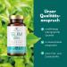 Solvisan Slim Brn - Natural Energy Boost with High-Dose Caffeine from Green Tea Coffee Guarana & Ginger - 90 Capsules - Buy Online on GoSupps.com