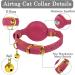 Shop Oopsdoggy Pink Leather Airtag Cat Collar with Bells | Durable GPS Pet Collar for Cats & Small Dogs - Buy Online on GoSupps.com