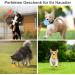 Dog Balls with Cord - 3 Pack Natural Rubber Play Balls for Large & Small Dogs | Soft Elastic Perfect for Catch & Fetch - Buy Online on GoSupps.com