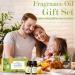 Salking Essential Oils Set - 6x10ml 100% Organic Aromatherapy Fragrance Oils for Diffusers Humidifiers & Massage | Cherry Pineapple Raspberry Sweet Orange Guava Green Apple - Buy Online on GoSupps.com