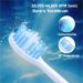 MOCEMTRY Sonic Electric Toothbrush - Rechargeable with 4 Dupont Brush Heads & 4 Cleaning Modes - Waterproof & Beige - Ideal for Adults - Buy Online on GoSupps.com