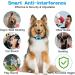 Rechargeable Anti Bark Collar for Dogs | 7 Sensitivity Levels | Vibration & Beep | Small Medium Large Dogs - Buy Online on GoSupps.com