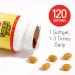 Natural Factors Phosphatidylserine 120 Softgels - Memory & Brain Function Support | Soy and Gluten Free | 120 Count Pack - Buy Online on GoSupps.com