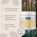 AniForte Slippery Elm Powder 100g: Slippery Elm for Cats & Dogs - Harmonises Stomach and Gastrointestinal Activity - Buy Online on GoSupps.com