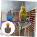 PopetPop Fly Bird Diapers - Reusable Cotton Pants for Pigeons Ducks & Parrots | Pet Bird Costume 20x11cm - Buy Online on GoSupps.com
