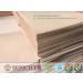 Sepici 8-9oz Pre-Cut Tooling Leather - 12x12 Inches - Buy Online on GoSupps.com