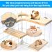 Shop Wangdu 5-Piece Hamster Accessories Set - Natural Wood Toys for Hamsters Guinea Pigs & Mice | DIY Cage Decor & Bird Seating Platform - Buy Online on GoSupps.com