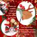 IYOU Christmas Headbands Hair Clips Red Reindeer Antlers Hair Band Flower Dear Ear Hair Accessories for Party Halloween Cosplay - Buy Online on GoSupps.com