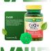 Rapid-Release CoQ10 100 mg Softgels - 60 Count + Exclusive Vitamins & Minerals Bundle | A to Z Guide & Weekly Pill Organizer - Shop Internationally - Buy Online on GoSupps.com