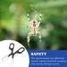 3 Pack Reptile Feeding Clips Reptile Feeding Tools Amphibian Feeding Clips Pet Plastic Feeding Clips for Hamsters Lizards Spiders Bearded Dragons (Black) - Buy Online on GoSupps.com