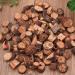 Dried Polygonum Multiflorum Thunb Yejiaoteng (100g(3.53oz)) - Buy Online on GoSupps.com