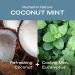Hey Humans Coconut Mint Vegan Deodorant - Aluminum Free Natural Ingredients Odor Protection Eco-Friendly - 4 Pack (2 oz - Buy Online on GoSupps.com