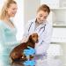 10 Set Artificial Insemination Dog Breeding Kit - Canine Breeder Supplies for Small to Medium Breeds - Buy Online on GoSupps.com