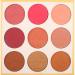 Blusher Palette, Vodisa Natural Make Up Blushing Set Face Sheer Matte Mineral Blush Kit, Cheek Base Foundation Pressed Powder Pallet Professional Facial Beauty Cosmetic Makeup Blush (5)