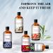 Purify Your Space with PHATOIL Coconut Fragrance Oil - 100ml for Aromatherapy, Candle & Soap Making - Buy Online on GoSupps.com