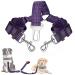 Slowton stroke belt dog car 2 in 1 healing -free durable elastic dog belt for the car adjustable reflective seat belt dogs for cars & go out 2 medium in 1 purple
