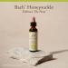Bach Original Flower Remedies Honeysuckle - Embrace The Now - Natural Homeopathic Flower Essence for Emotional Balance - Vegan Gluten Free Sugar Free - 20mL Dropper - Buy Online on GoSupps.com