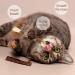 Tao Pipe Catnip Sticks | 6 Interactive Matatabi Chew Toys for Cats | Silver Vine Sticks for Fresh Breath - Buy Online on GoSupps.com