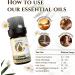 English Chamomile Essential Oil 5ml - 100% Pure Therapeutic Grade for Aromatherapy and Massage Diffusers - Buy Online on GoSupps.com