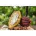 Organic Cacao Nibs 100% Pure Premium Product imported from Peru. USDA Certified Organic Sugar Free No Preservatives 227g - Buy Online on GoSupps.com
