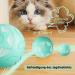 Peticularz Cat Toys - Self-Employment Electric Powerball 2.0 | Interactive Wloom Intelligence Magic Ball for Cats (Star Blue) - Buy Online on GoSupps.com