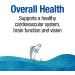 Natural Factors Wild Alaskan Salmon Oil 1000 mg - 90 Softgels | Omega-3 Supplements - Buy Online on GoSupps.com
