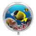 Round Pill Box Tropical Fish Print 3 Compartment Medicine Pill Case Print Pill Organizer Decorative Metal Portable Pill Box Pocket Pill Box Style-24
