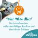 Ida Plus Dental Care Mini Sticks for Cats - Anti-Plaque Treats Freshens Breath Cleans Teeth - 80 Delicious Pieces - Buy Online on GoSupps.com