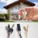 Buy Mojotic 20-Piece Mini Carabiner Set | Lightweight Keyring Hooks for Camping & Outdoor Activities - Buy Online on GoSupps.com
