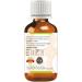 Greenwood Essential Pur Castor Huile (Ricinus communis) 100% Naturelle de qualit Th rapeutique press e froid pour les soins personnels 100ml (3 38 oz) - Buy Online on GoSupps.com