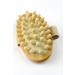 JIAHAO Natural Wood Hand-Held Massager Body Brush for Cellulite Reduction - Set of 2 (Large) - Buy Online on GoSupps.com
