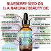 Buy Blueberry Seed Oil - Virgin Unrefined Cold-Pressed Carrier Oil for Face Body & Hair | 0.5 Fl. oz - Anti-Aging Moisturizer by Botanical Beauty - Buy Online on GoSupps.com