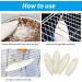 Leikedun 4 PCS Large Cuttlefish Bone(13-16cm) Birds Parrots Chewing Toys Birds Chew Toys Natural Cuddle Bone for Parrots Cage Birds Reptiles Tortoises Snails - Buy Online on GoSupps.com