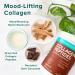 Further Food Chocolate Collagen Peptides with Reishi Mushroom - 11 oz Dark Chocolate Superfood - Buy Online on GoSupps.com
