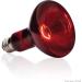 Exo Terra Infrared Basking Spot Lamp 150W R30 E27 Heat Spot for Reptiles | International Shipping Available - Buy Online on GoSupps.com