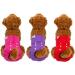 Cutebone 3-Pack Washable Dog Diapers - Waterproof Puppy Pants for Heat Period | Valentine's Day Rose Collection (D24S-DE ROSE & LILA Size S 28-40.5cm) - Buy Online on GoSupps.com