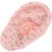 Artibetter 1Pc Human Ear Acupuncture Model - Medical Auricular Massage Tool for Home Use | International Shipping Available - Buy Online on GoSupps.com