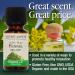 Nature's Answer Organic Fennel Essential Oil 100% Pure - 0.5 fl oz (15 ml) - Buy Online on GoSupps.com