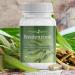 Wicker Bark Capsules 60 ct | 200 mg Natural Plant Extract with Salicin | 100% Pure Herbal Supplement for 2 Months Supply - Buy Online on GoSupps.com