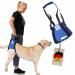 Nature PET carrier help for dogs at the back - carrying strap as stair aid - ideal for older sick or operated dogs - dog lift (L black) black L (1 Pack)