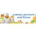 WC-Ente Active 3in1 Toilet Cleaner & Fragrance Refill - Citrus Scent Pack of 6 (6 x 40g) - International Shipping Available - Buy Online on GoSupps.com