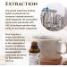 Ecodrop Organic Reishi Mushroom Double Extract Liquid Tincture 50ml - EU & Soil Association Certified - Made in Finland - Buy Online on GoSupps.com