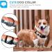 Heele Dog Collar - Adjustable Patterned Collars for Small Medium & Large Dogs | Comfortable & Robust | Sunrise Design (25-38cm) - Buy Online on GoSupps.com