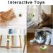 Edible Catnip Ball for Dental Care and Play - Rotatable Mint Toy for Cats - Buy Online on GoSupps.com