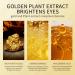 Under Eye Patches Under Eye Treatment Masks Gold Eye Mask Patches for Puffy Eyes Gold Eye Patches Gold Eye Masks for Puffy Eyes Under Eye Masks Nourish& Firm Eye Masks Collagen-Eye Patches Dark Circle - Buy Online on GoSupps.com