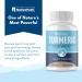 NativePath Turmeric Curcumin with Black Seed Oil - Joint Health & Antioxidant 60 Softgels - Buy Online on GoSupps.com
