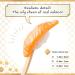 Sushi Ear Pick 10 Types Mimikaki with Mini Salmon Replica - Unique and Functional Ear Cleaning Tool - Buy Online on GoSupps.com
