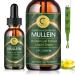 Mullein Drops for Lungs - Lung Cleanse & Detox - Vegan Mullein Leaf Extract Liquid Tincture Support for Respiratory Immune Digestive System Natural Herbal Supplement Non-GMO 2 FL OZ Natural 2 Fl Oz (Pack of 1)